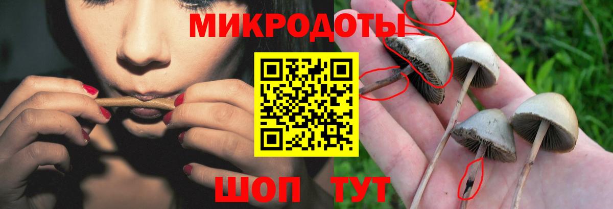 Галлюциногенные грибы ЛСД  Псилоцибиновые грибы Psilocybe  продажа наркотиков  Донецк  Вход с VPN 